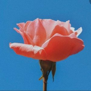 Meet your Posher, Cam